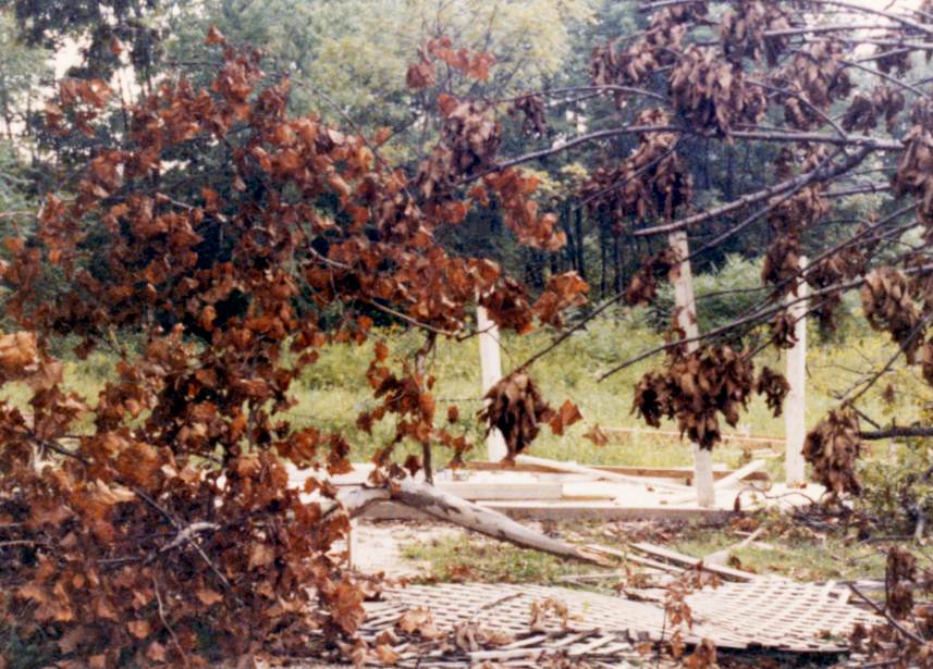 Gazebo Torn Up by a Small Tornado